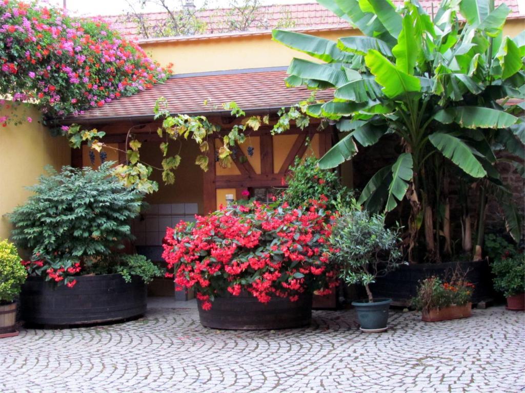 Gite Fruehmess Itterswiller Esterno foto